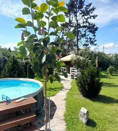 Country In The Villa Prag
